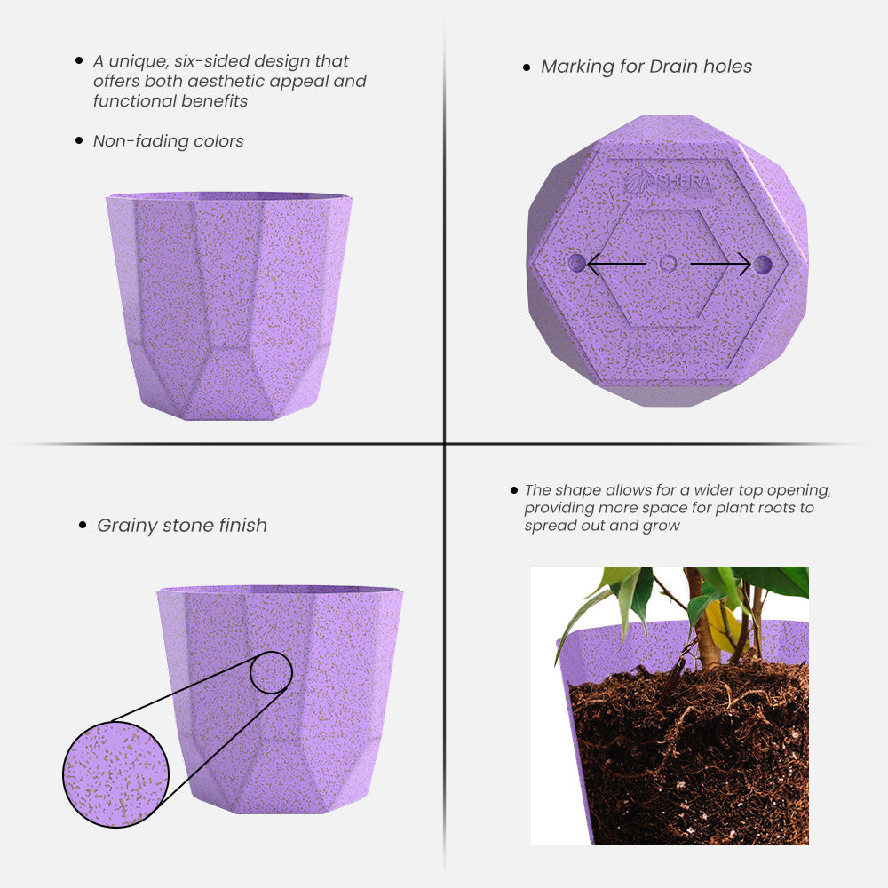 SHERA | HEXA BIO PLANTER