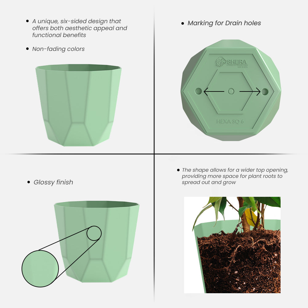 SHERA | HEXA PLANTER