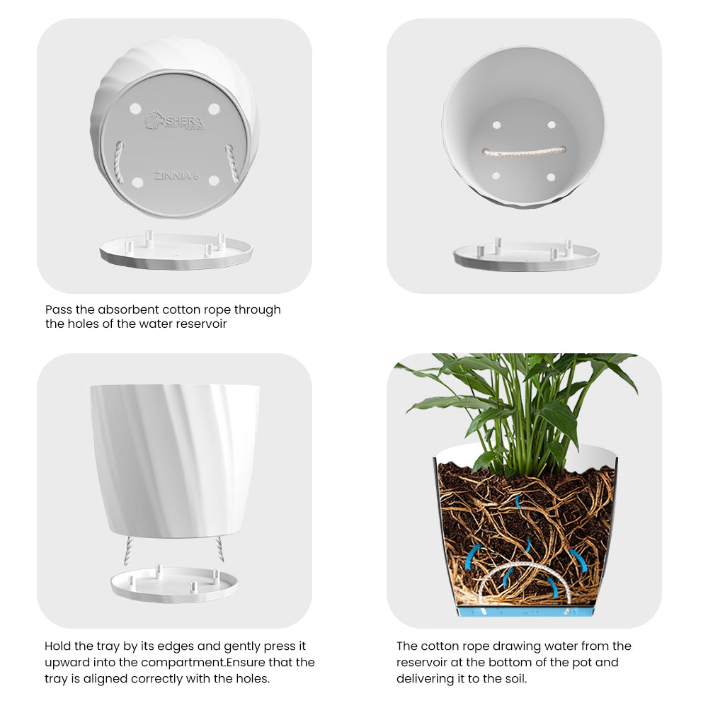 SHERA | ZINNIA PLANTER