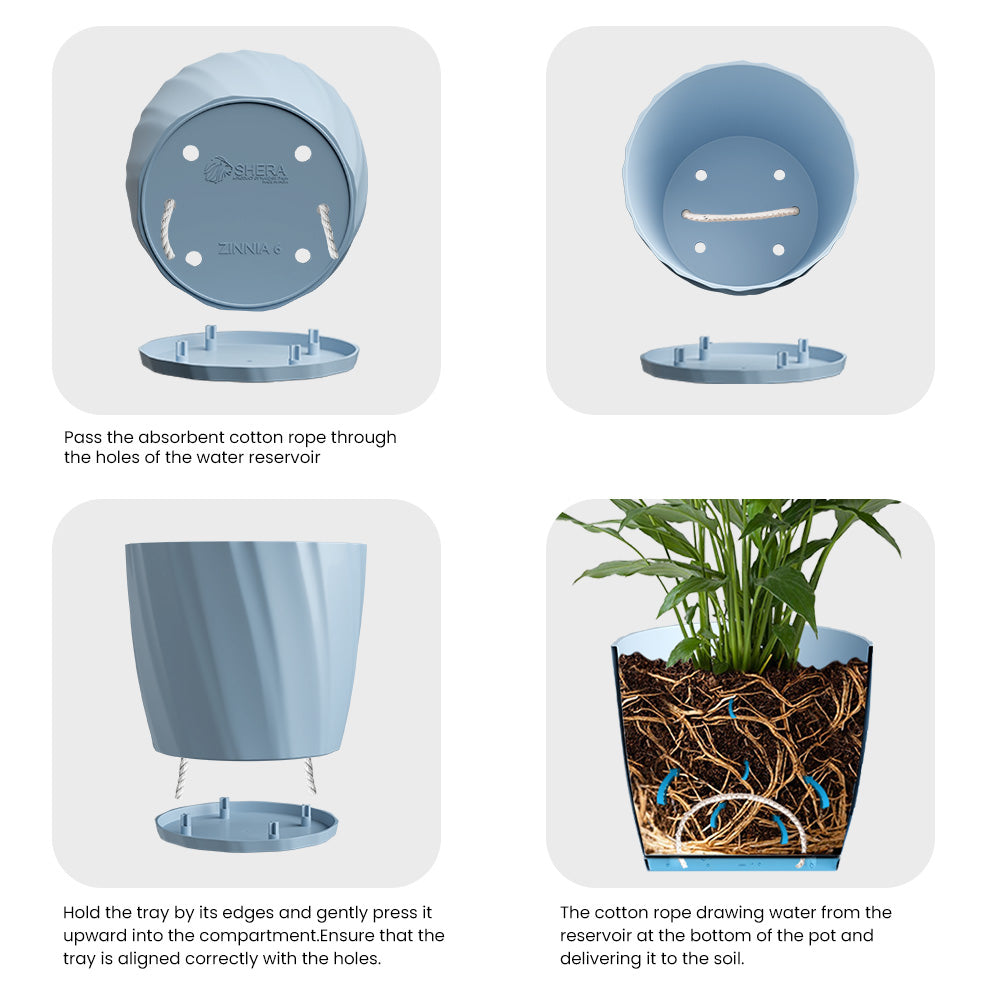 SHERA | ZINNIA PLANTER