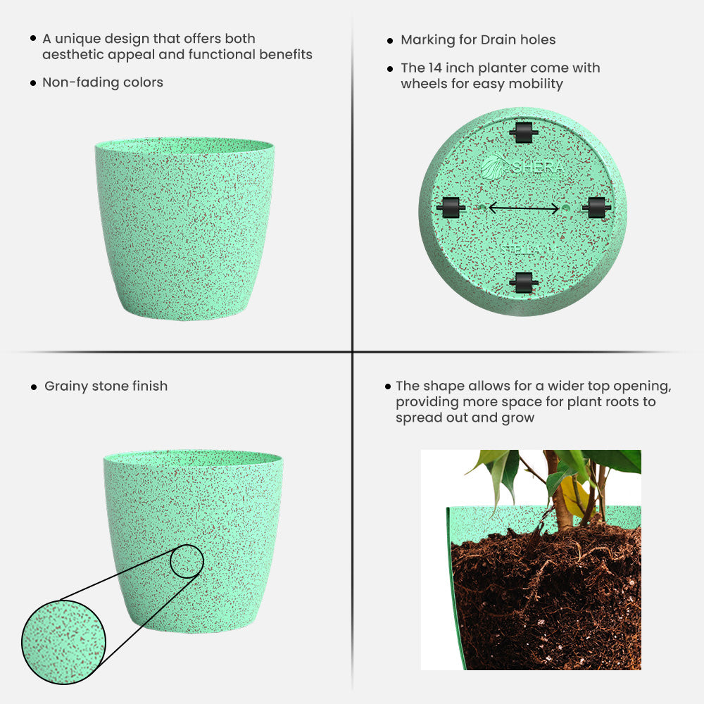 SHERA | STELLA BIO PLANTER