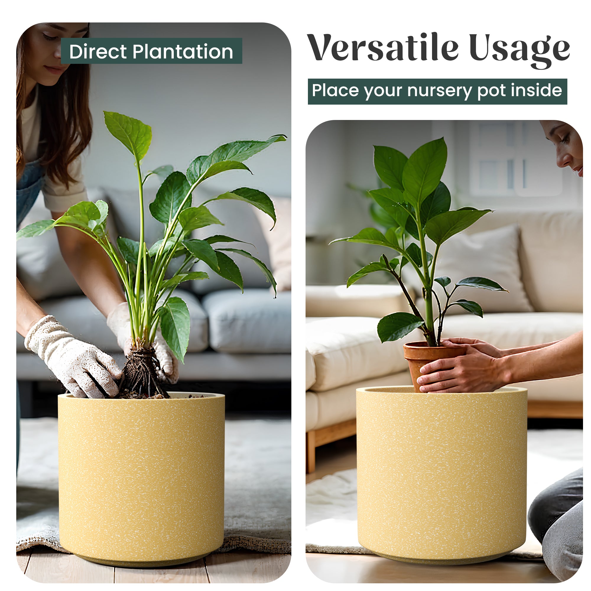 FOX B | CILIN PLANTER