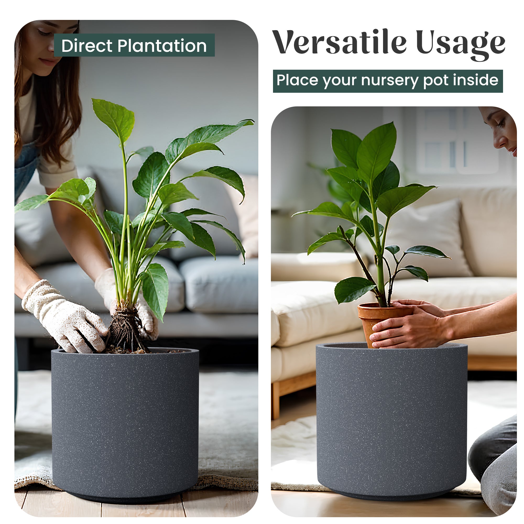 FOX B | CILIN PLANTER