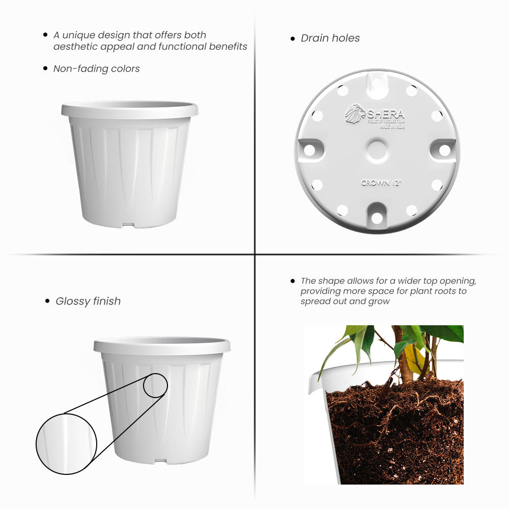 SHERA | CROWN PLANTER