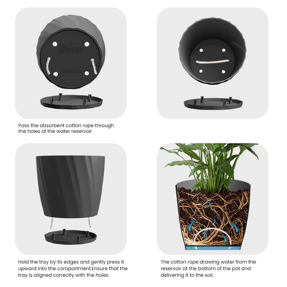 SHERA | ZINNIA PLANTER