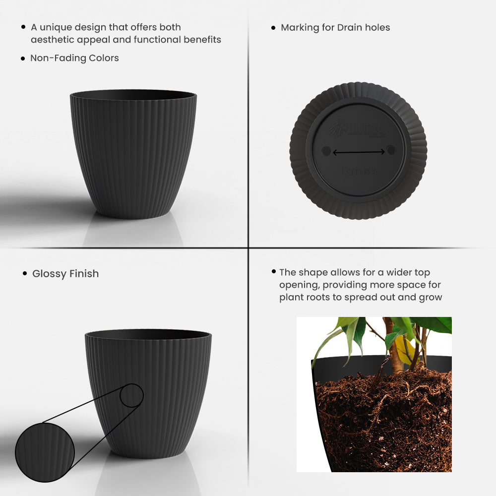 SHERA | LOTUS PLANTER