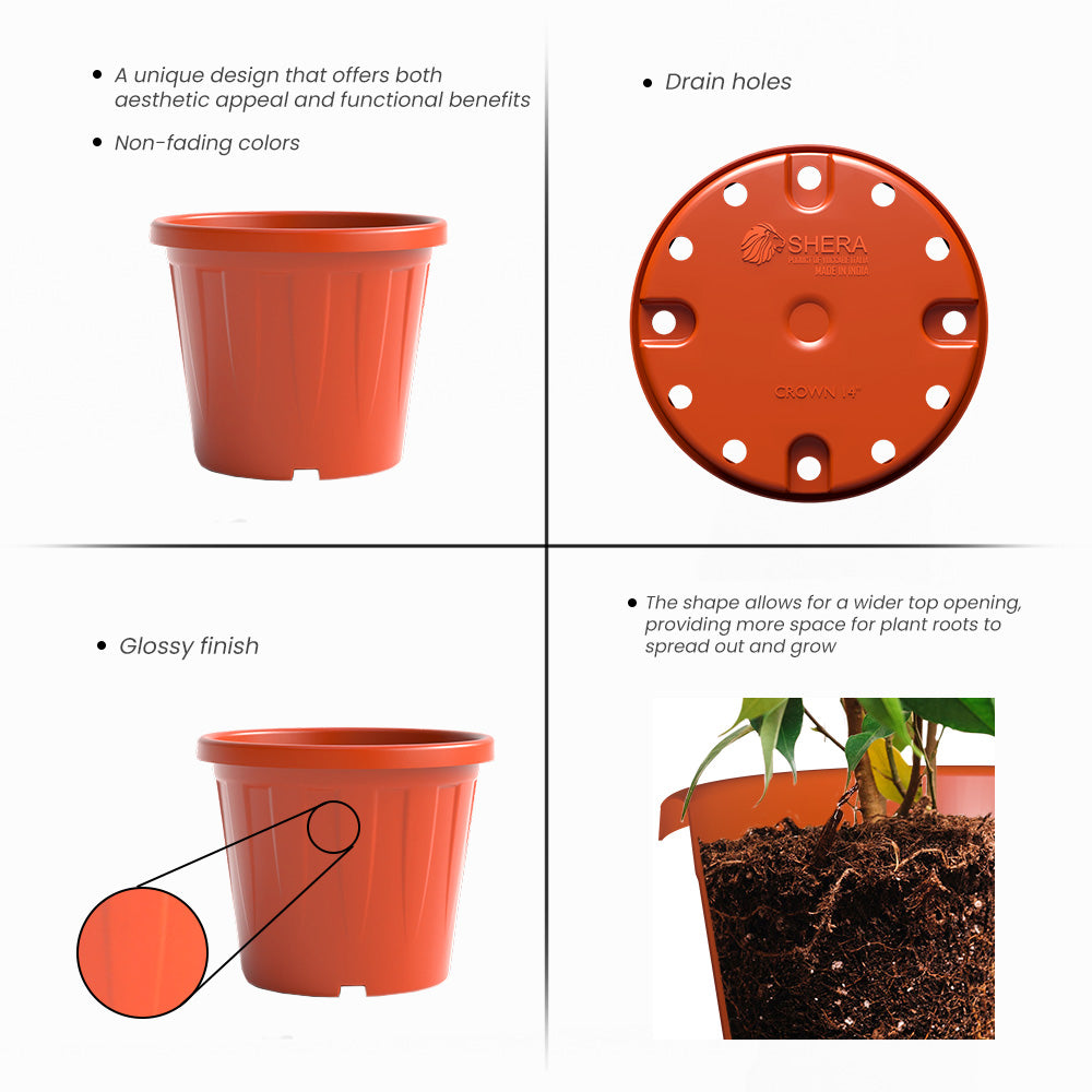 SHERA | CROWN PLANTER