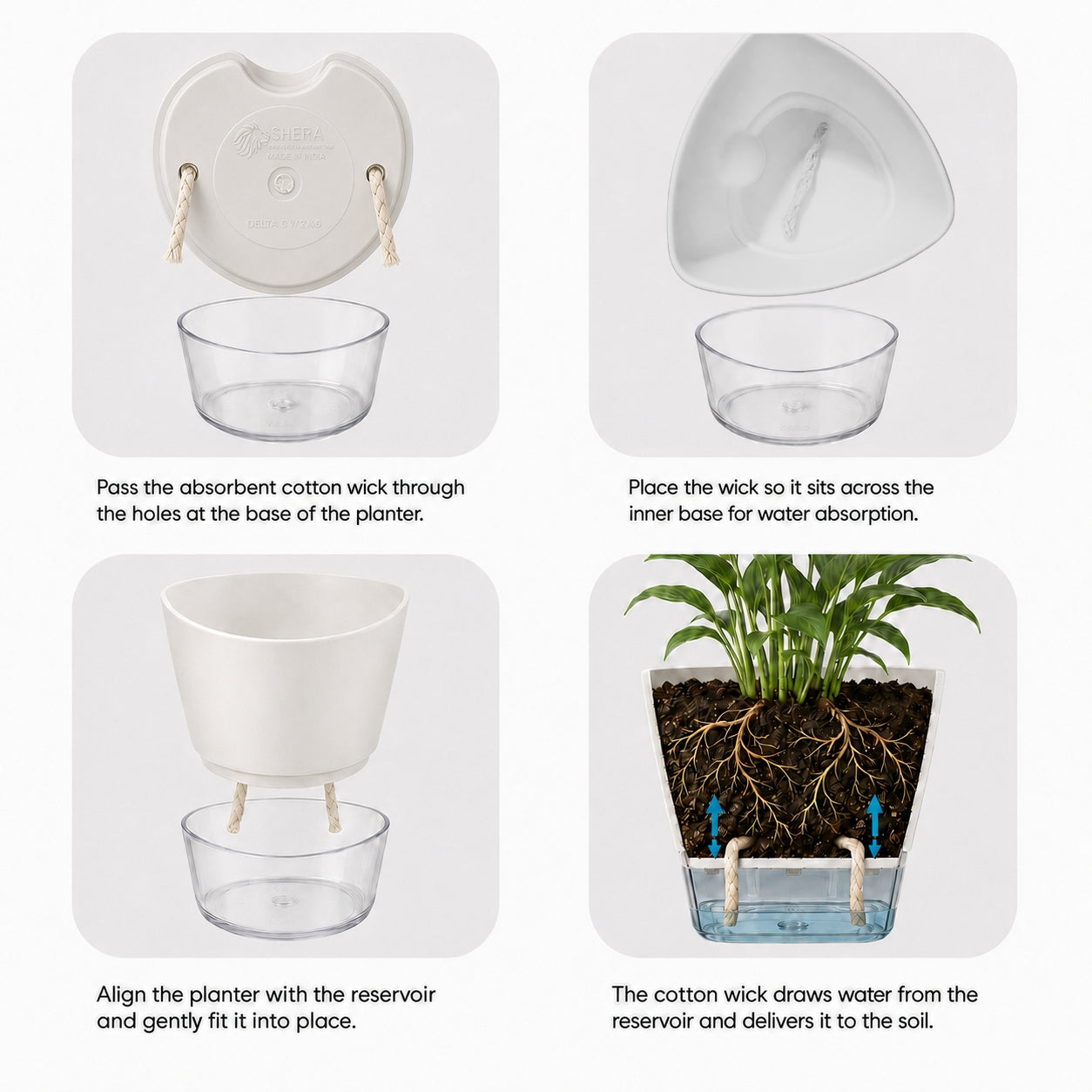 SHERA | DELTA PLANTER