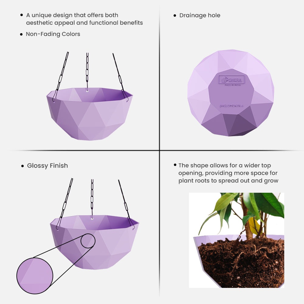 SHERA | DMD KTR HANGING