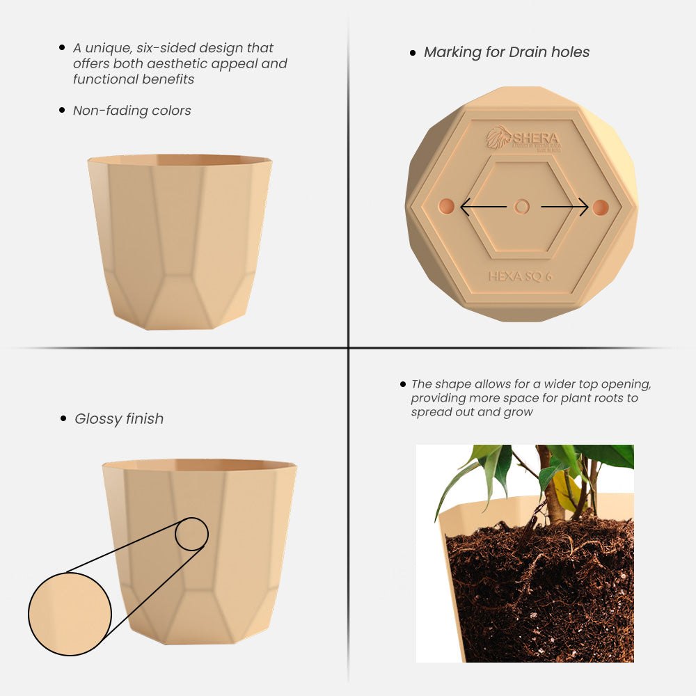 SHERA | HEXA PLANTER