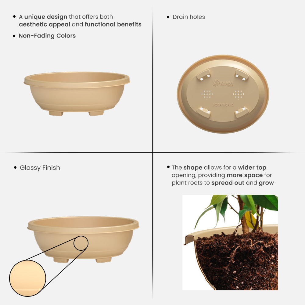 SHERA | BOTANICA TRAY PLANTER