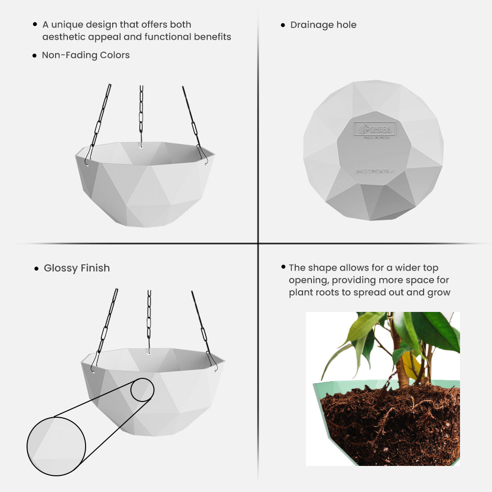 SHERA | DMD KTR HANGING