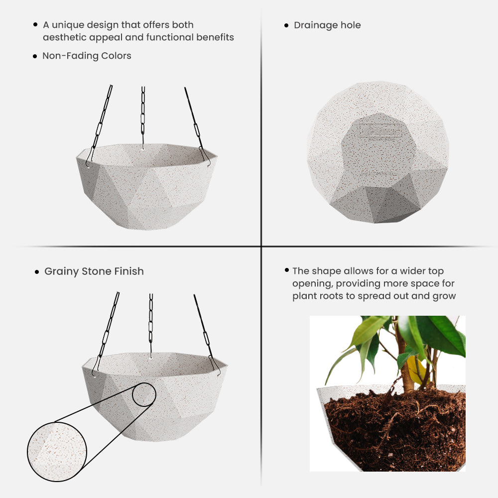 SHERA | DMD KTR BIO HANGING