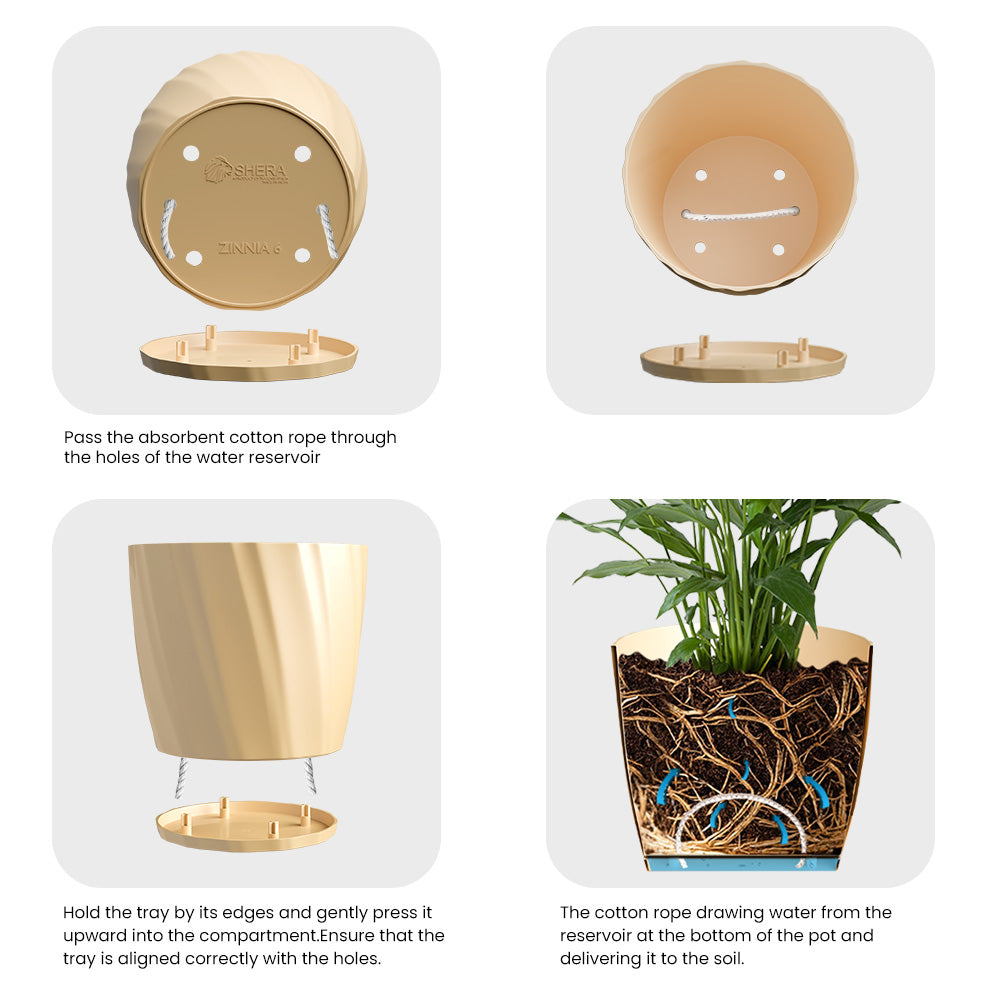 SHERA | ZINNIA PLANTER