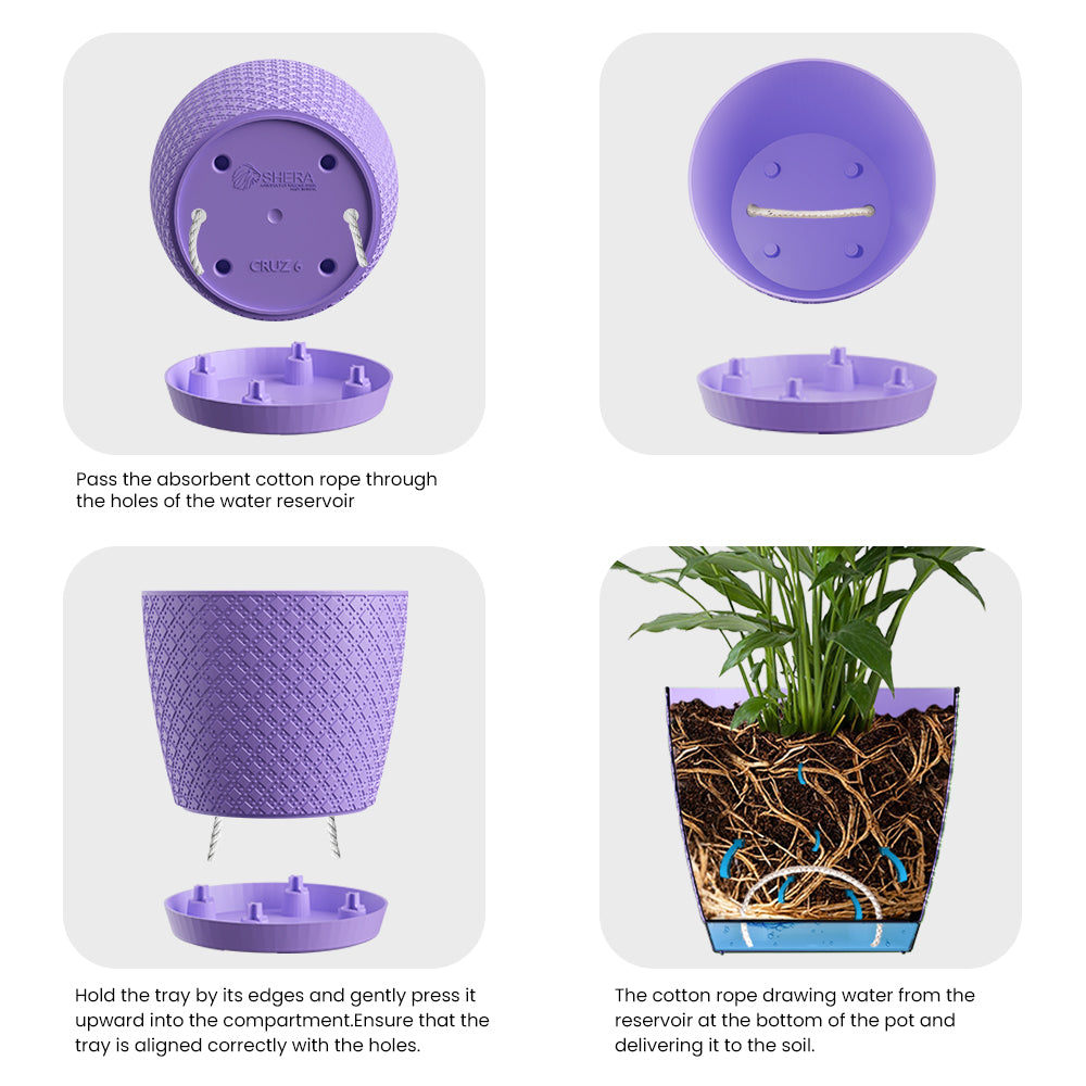 SHERA | CRUZ PLANTER