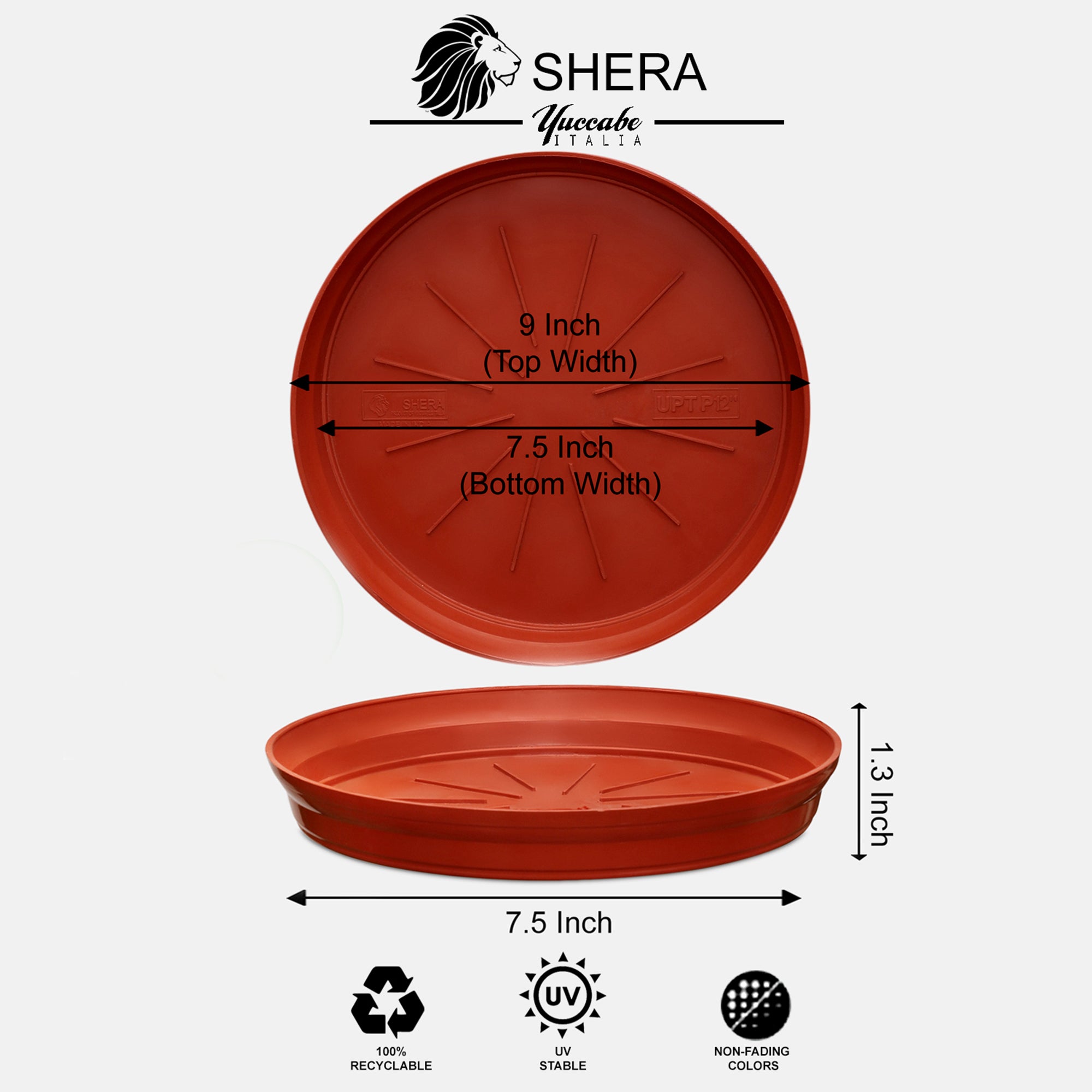 SHERA | RUP