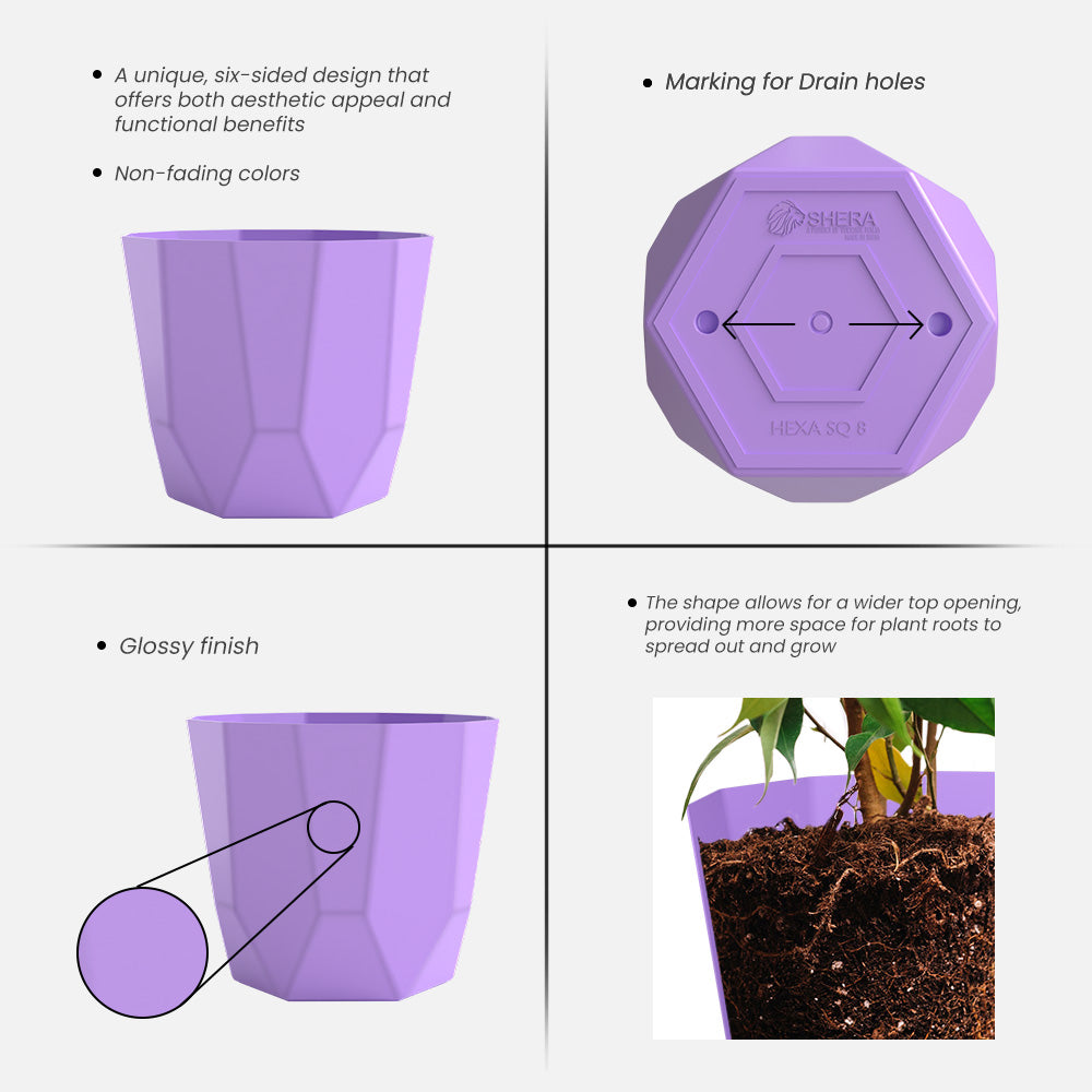 SHERA | HEXA PLANTER