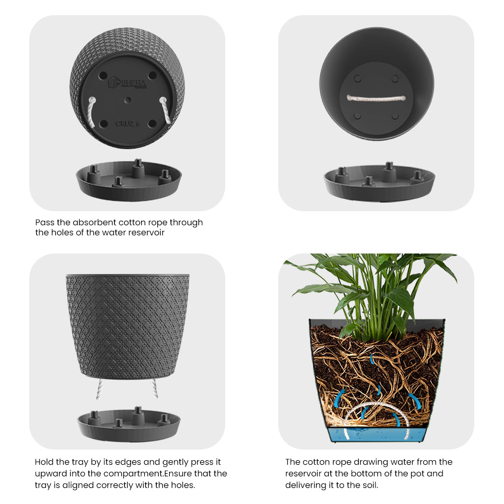 SHERA | CRUZ PLANTER