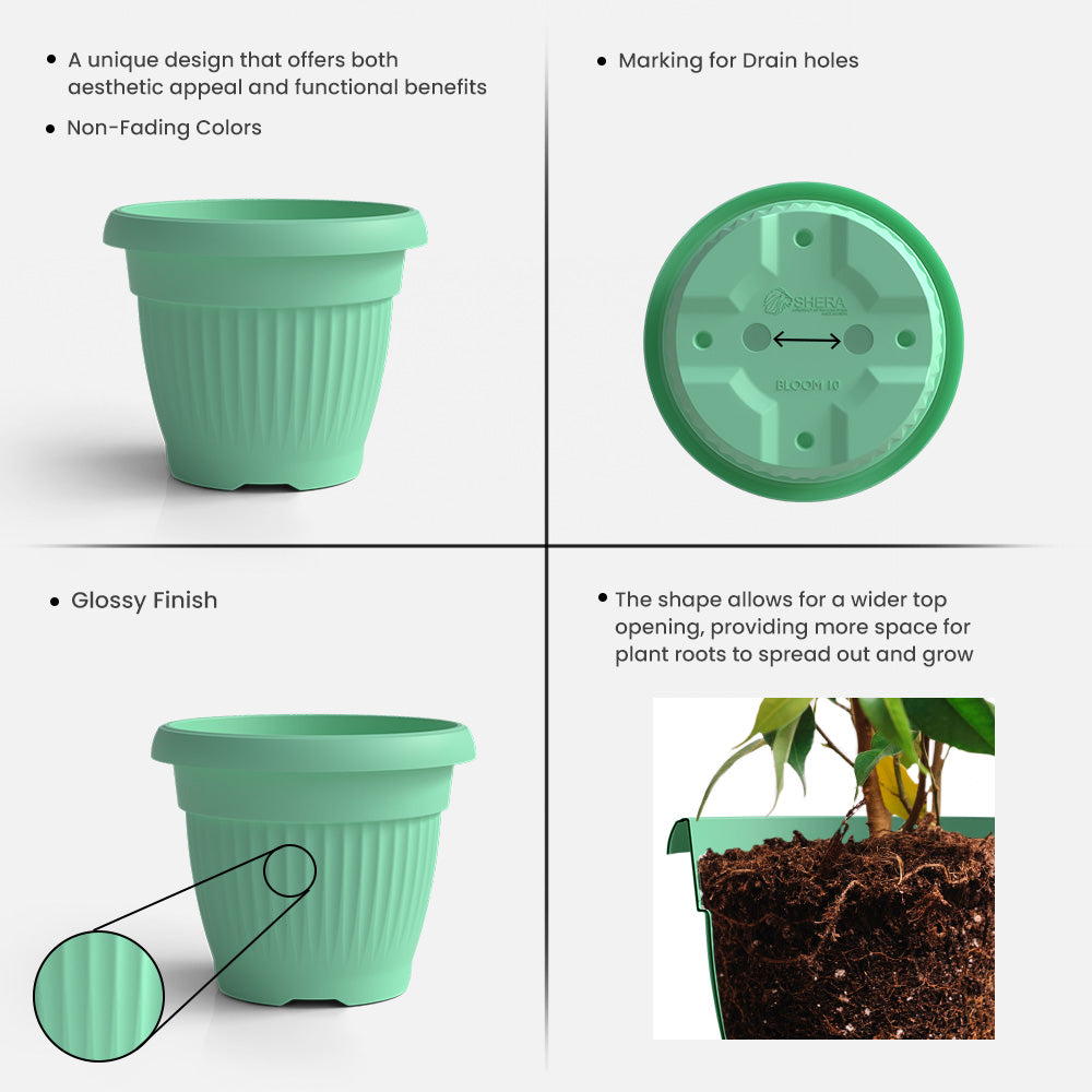 SHERA | BLOOM PLANTER