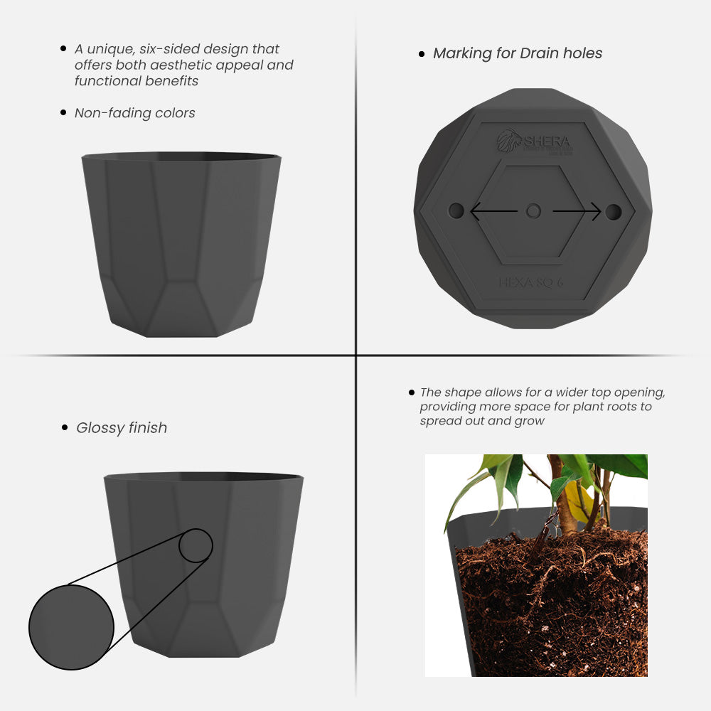 SHERA | HEXA PLANTER