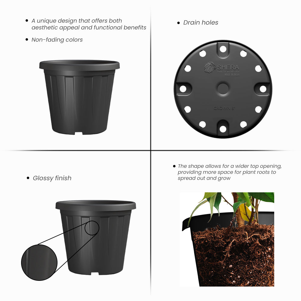 SHERA | CROWN PLANTER