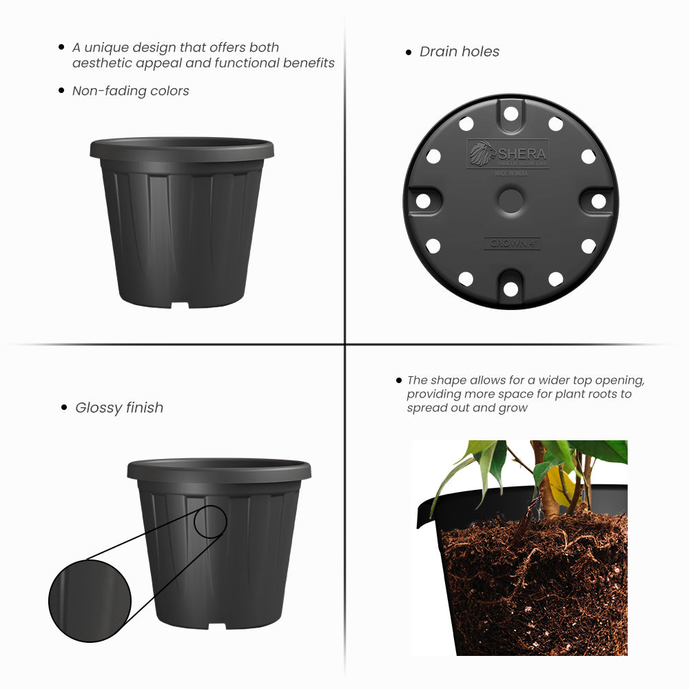 SHERA | CROWN PLANTER