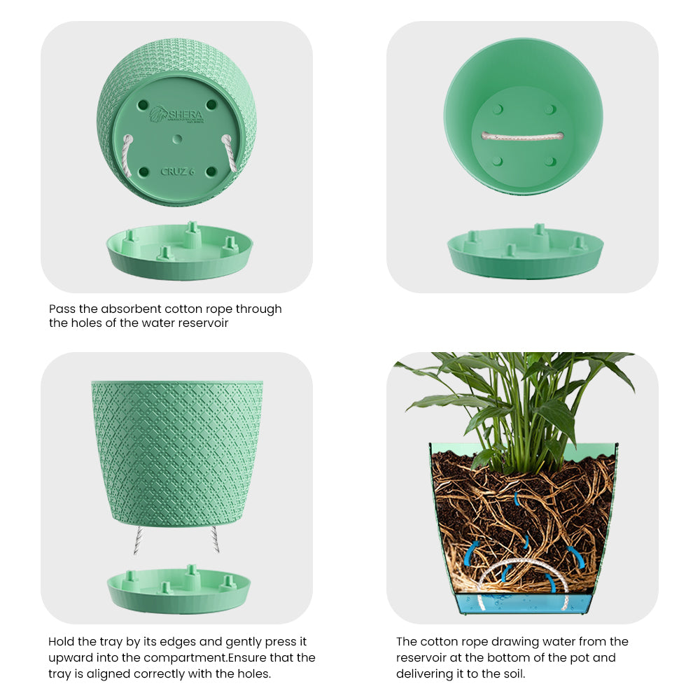 SHERA | CRUZ PLANTER