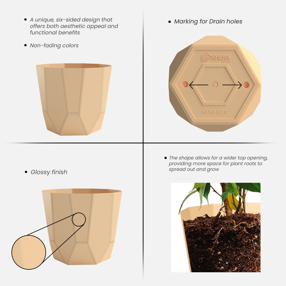 SHERA | HEXA PLANTER