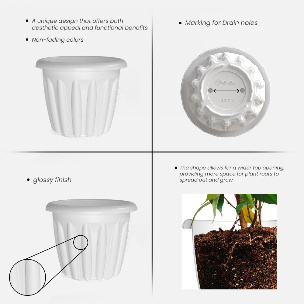 SHERA | FLOOT PLANTER