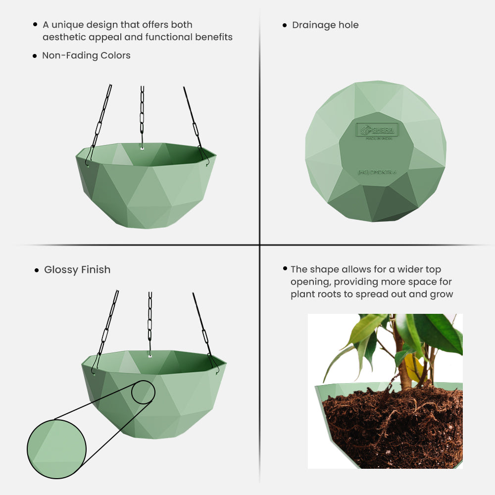 SHERA | DMD KTR HANGING