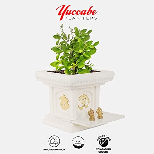 YUCCABE | TULSI Planter
