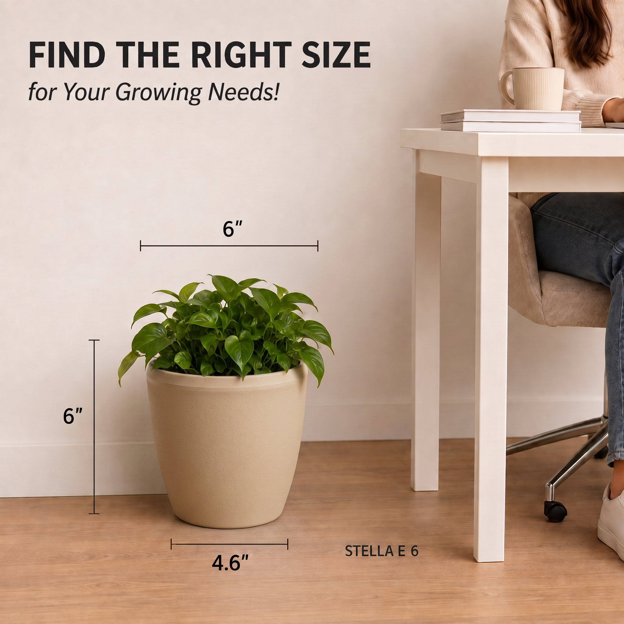 SHERA | STELLA E PLANTER