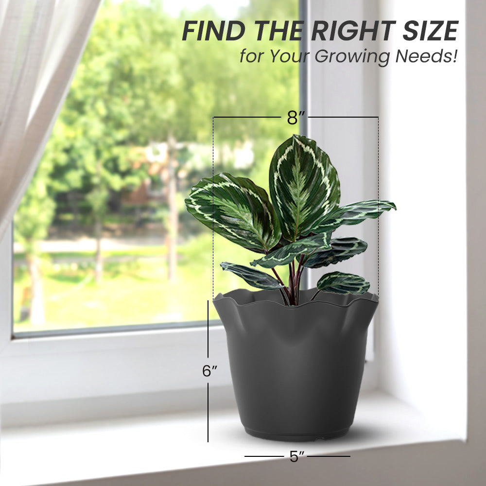 SHERA | FLOWER PLANTER