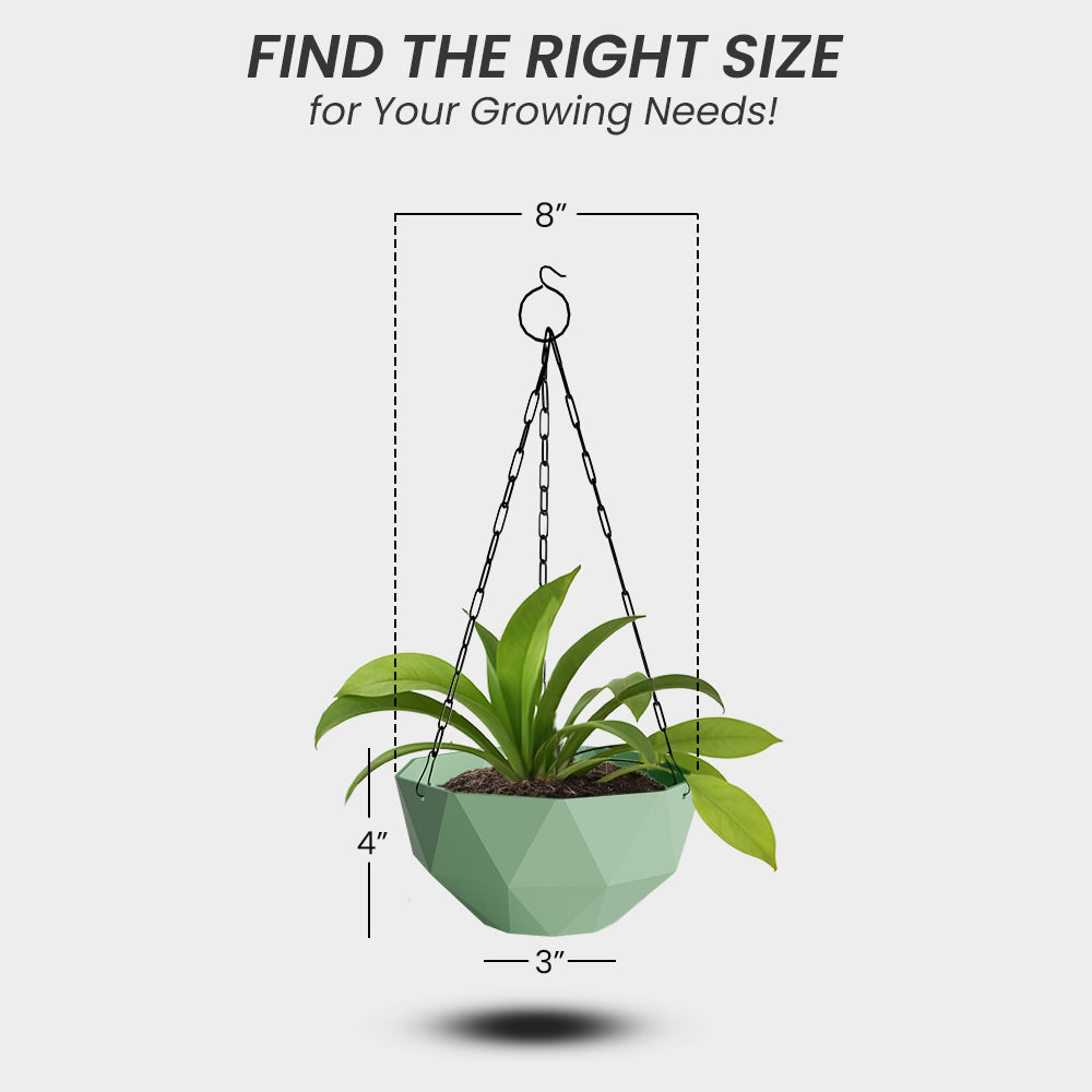 SHERA | DMD HANGING