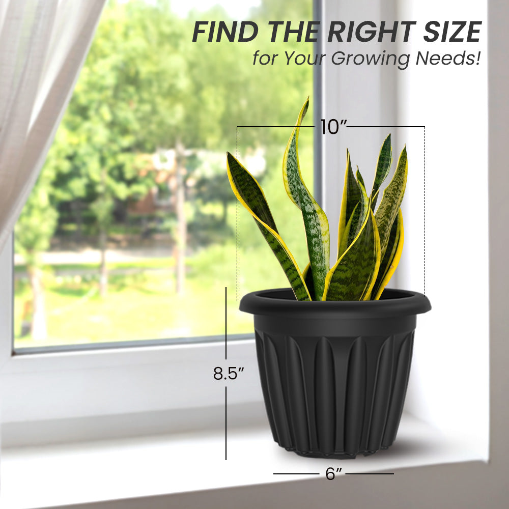 SHERA | FLOOT PLANTER