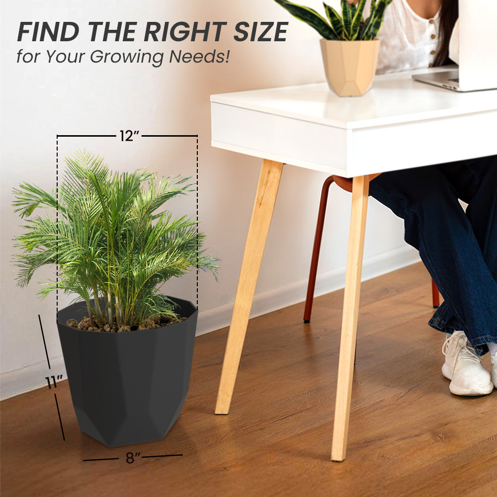 SHERA | HEXA PLANTER