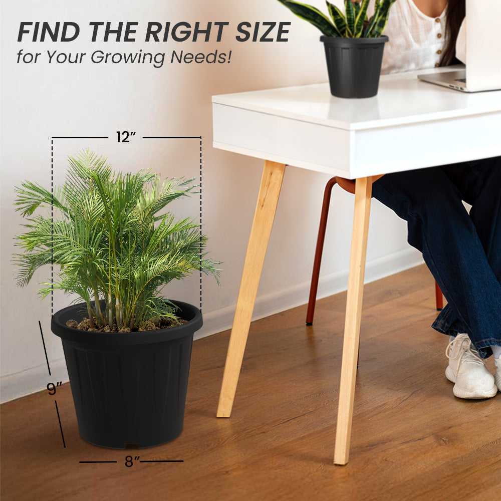 SHERA | CROWN PLANTER