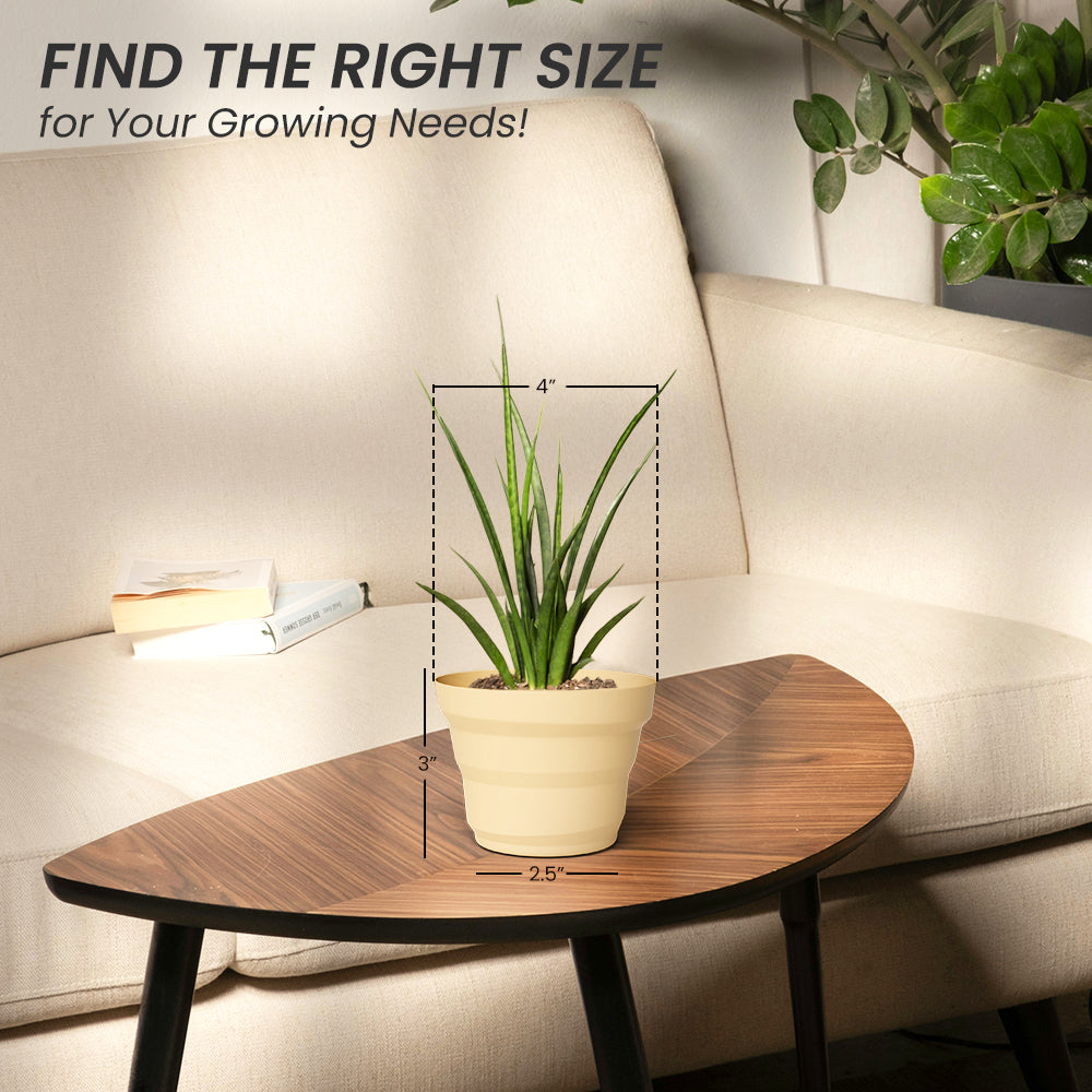 SHERA | RING PLANTER