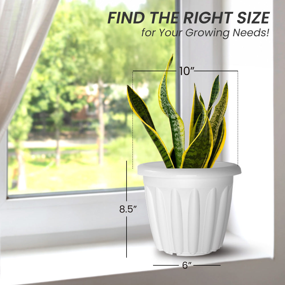 SHERA | FLOOT PLANTER