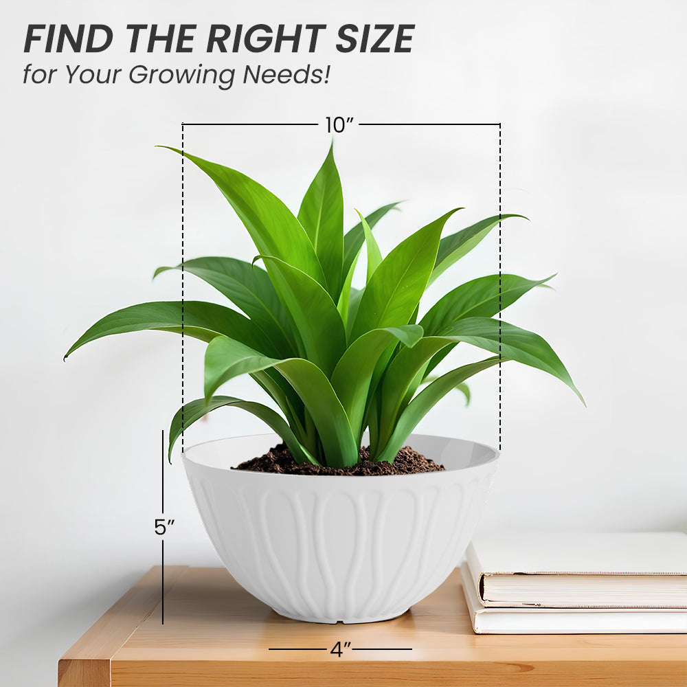 SHERA | WAVE KTR PLANTER