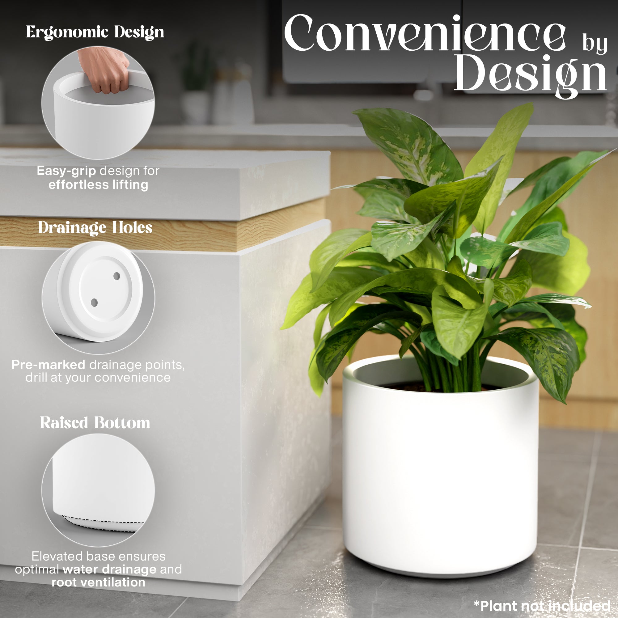 FOX B | CILIN PLANTER