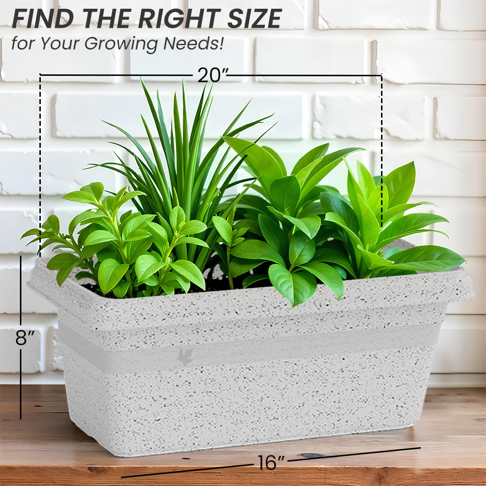 SHERA | TP PLANTER