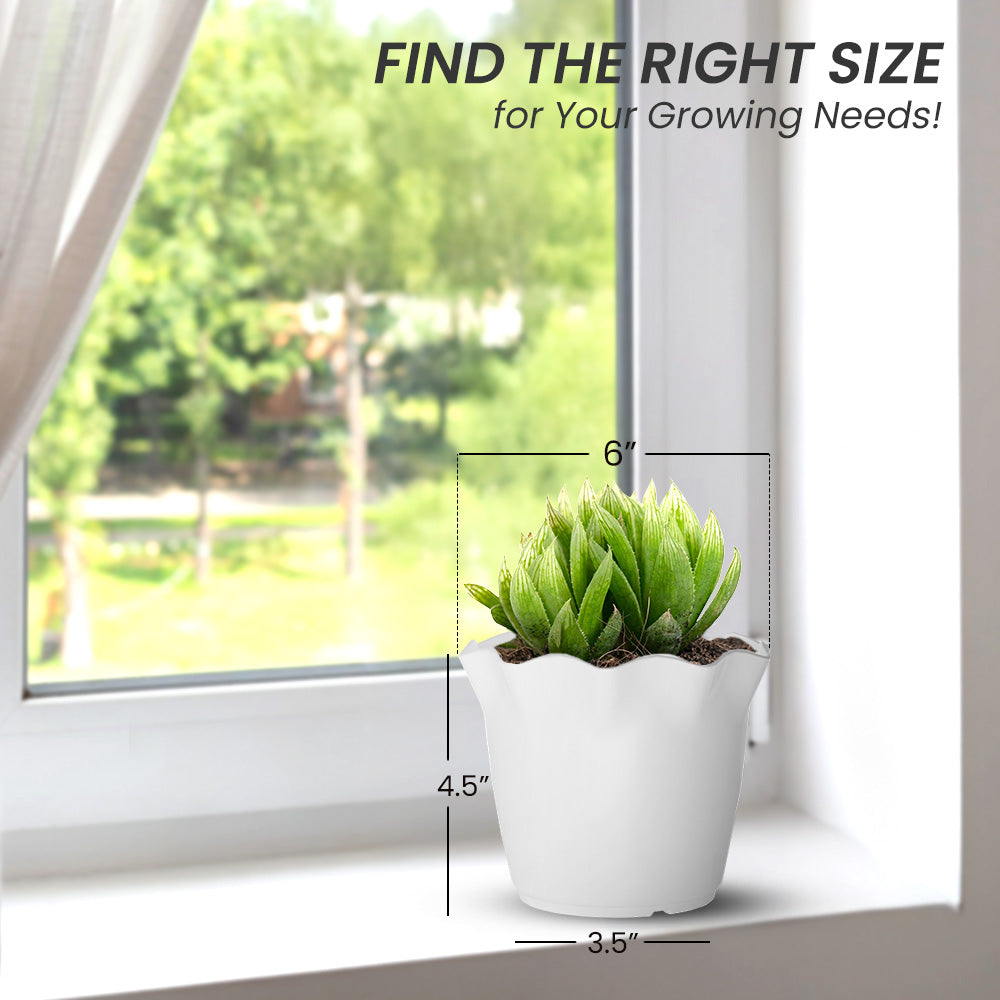 SHERA | FLOWER PLANTER