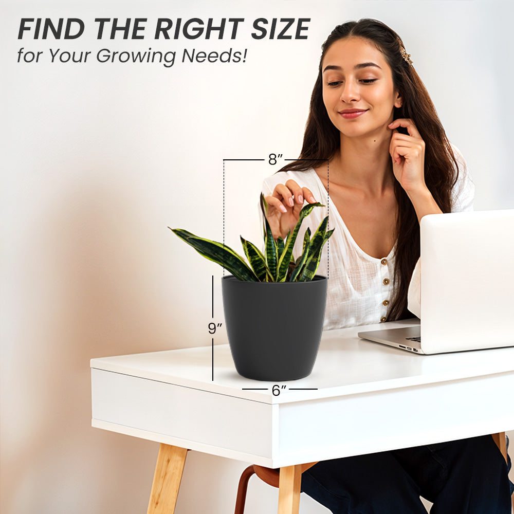 SHERA | STELLA PLANTER