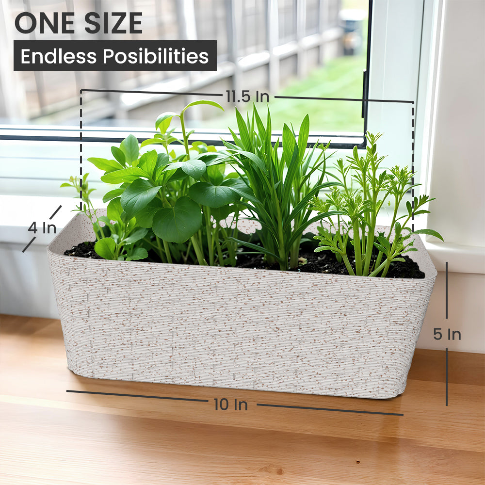 SHERA | RATTAN TRAY