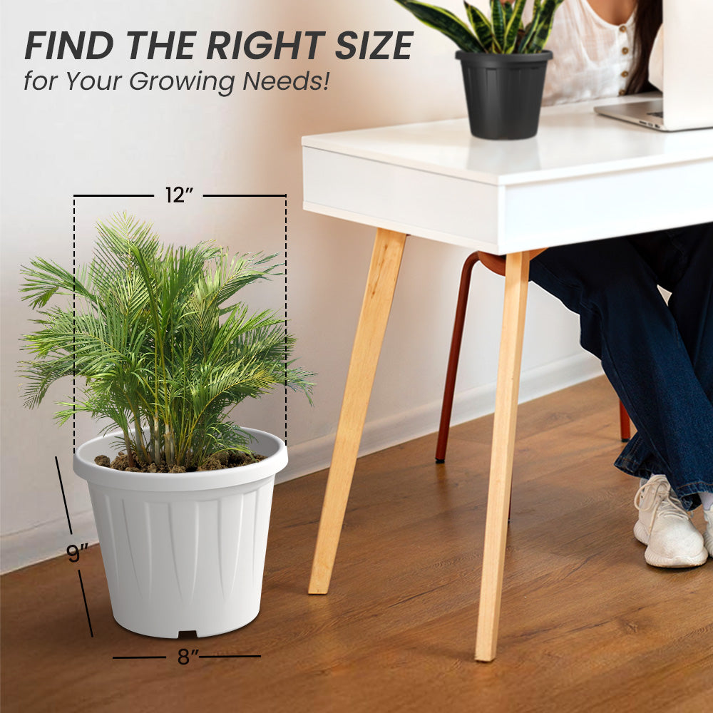 SHERA | CROWN PLANTER