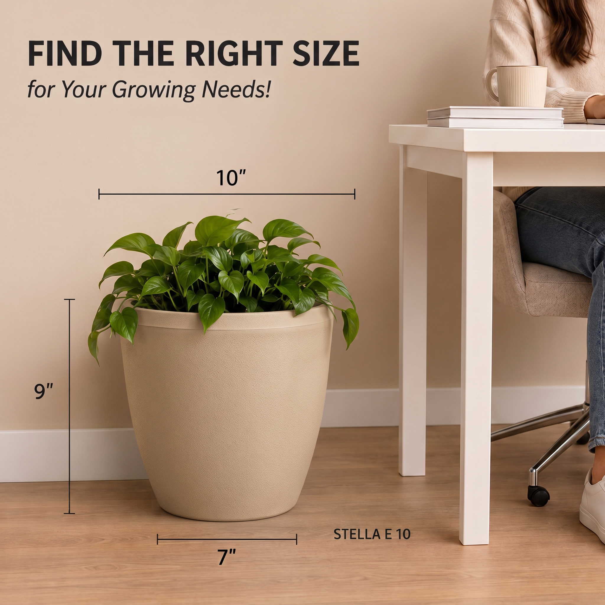 SHERA | STELLA E PLANTER