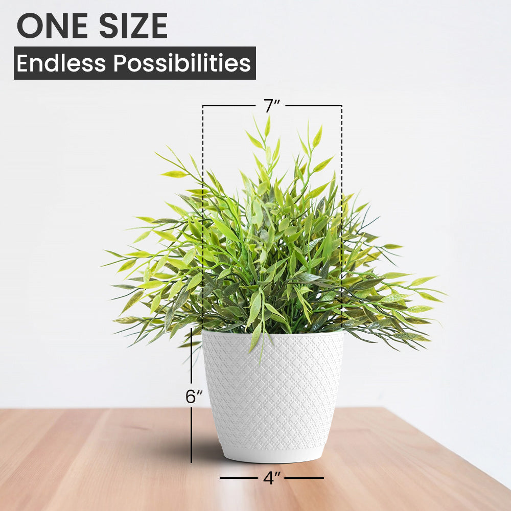 SHERA | CRUZ PLANTER