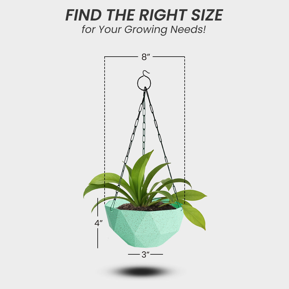 SHERA | DMD KTR BIO HANGING