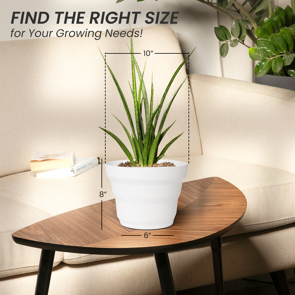 SHERA | RING PLANTER